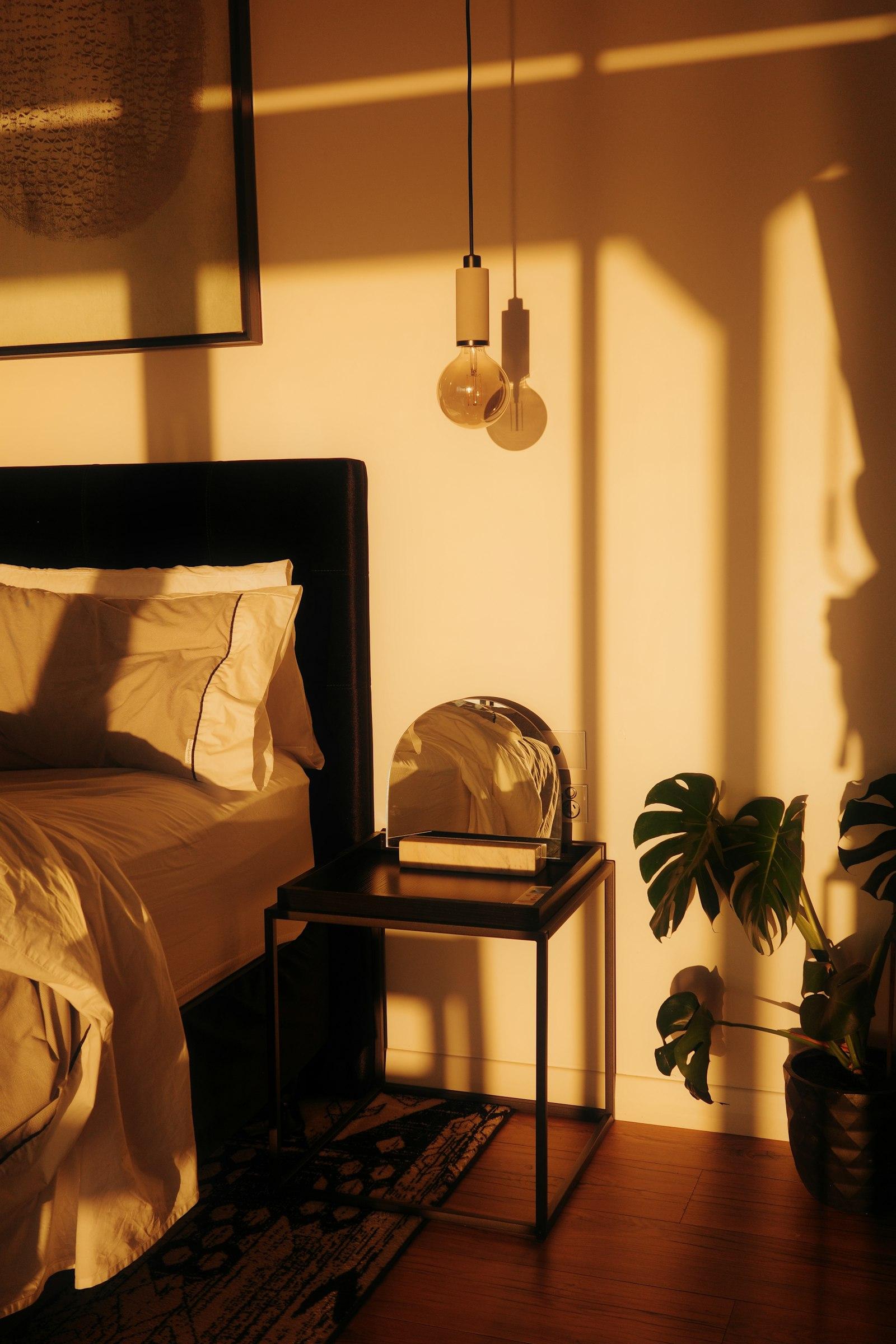 A bedroom glowing in warm evening light beside a plant